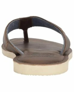 Budget ✨ Tommy Hilfiger Sandals Newell ✨ -Tommy Hilfiger Shop 616ufwkhAcL. AC SR736920